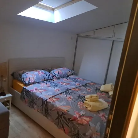 Antea トロギール